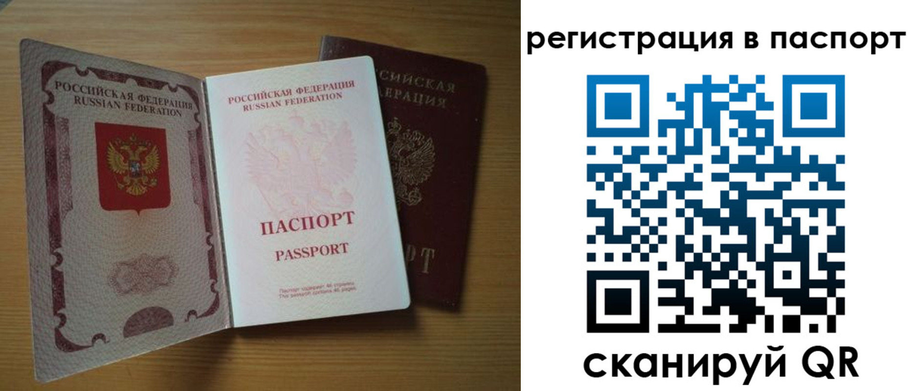 прописка для школы в Гвардейске